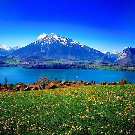 Swisshut Lena * Spiez